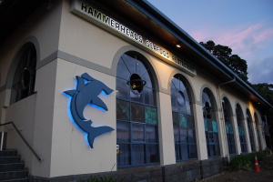 Hammarheads Seafood Restaurant